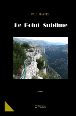 Knjiga Point Sublime Paul Baxter