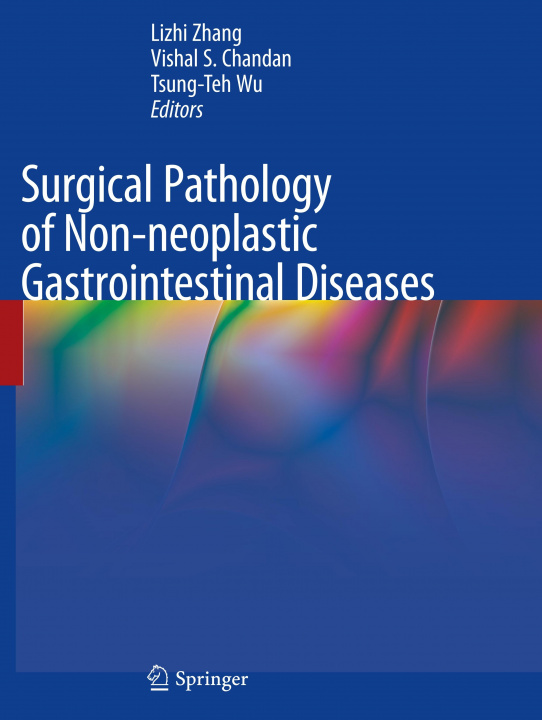 Kniha Surgical Pathology of Non-Neoplastic Gastrointestinal Diseases Lizhi Zhang