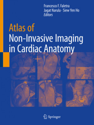 Kniha Atlas of Non-Invasive Imaging in Cardiac Anatomy Francesco F. Faletra