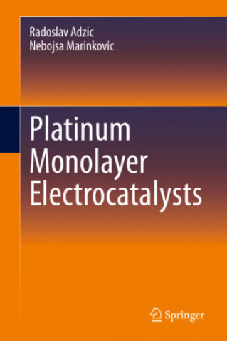 Buch Platinum Monolayer Electrocatalysts Radoslav Adzic