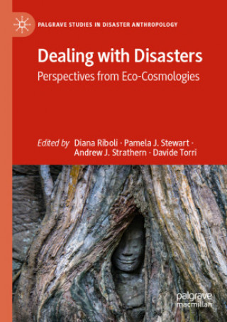 Book Dealing with Disasters Diana Riboli