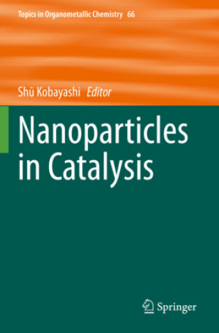 Buch Nanoparticles in Catalysis Shū Kobayashi