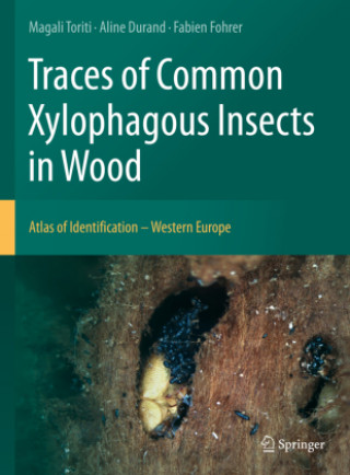 Książka Traces of Common Xylophagous Insects in Wood: Atlas of Identification - Western Europe Magali Toriti