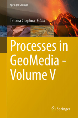 Książka Processes in GeoMedia-Volume V Tatiana Chaplina