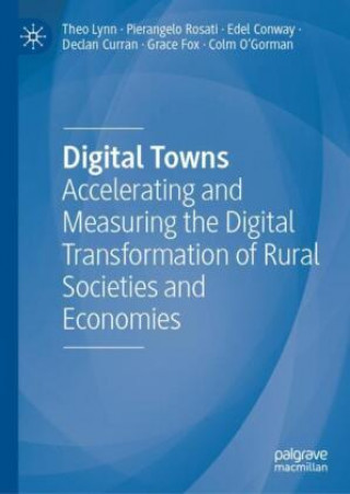 Boek Digital Towns Theo Lynn