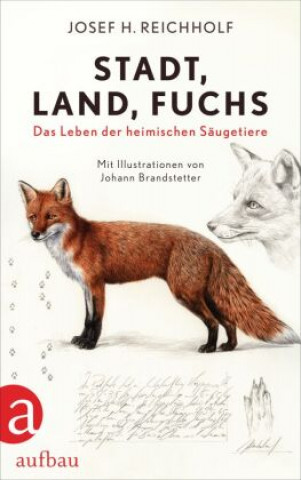 Kniha Stadt, Land, Fuchs Johann Brandstetter