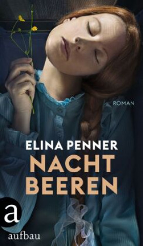 Knjiga Nachtbeeren Elina Penner