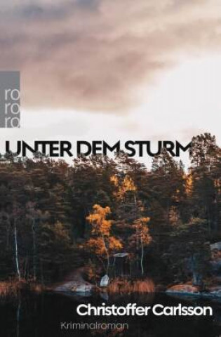 Knjiga Unter dem Sturm Susanne Dahmann