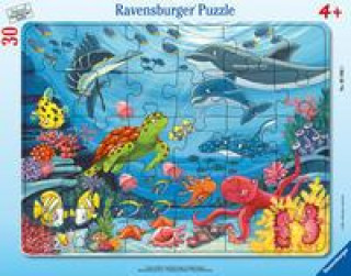 Joc / Jucărie Ravensburger Kinderpuzzle - Unten im Meer - 30-48 Teile Rahmenpuzzle für Kinder ab 4 Jahren 