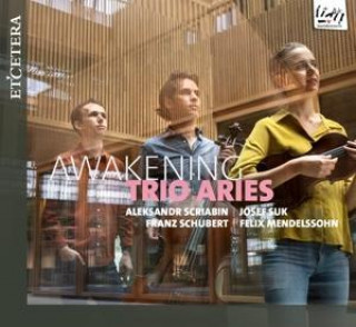 Zvok Awakening 