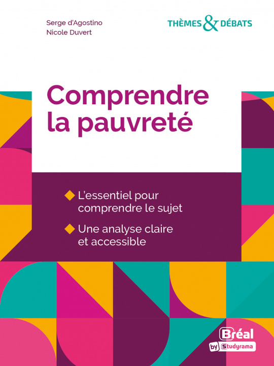 Buch Comprendre la pauvreté D'AGOSTINO