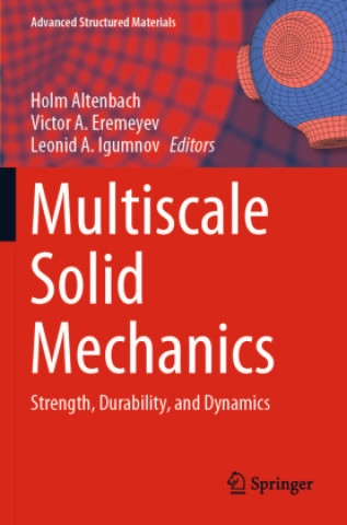 Knjiga Multiscale Solid Mechanics Leonid A. Igumnov