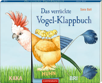 Kniha Das verrückte Vogel-Klappbuch Holger Haag