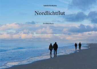 Buch Nordlichtflut 
