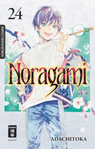 Könyv Noragami 24 Ai Aoki