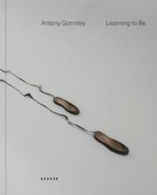 Книга Antony Gormley 