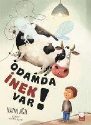 Buch Odamda Inek Var 