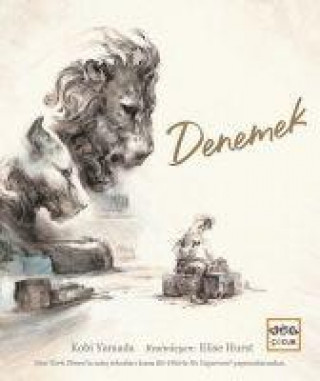 Knjiga Denemek 