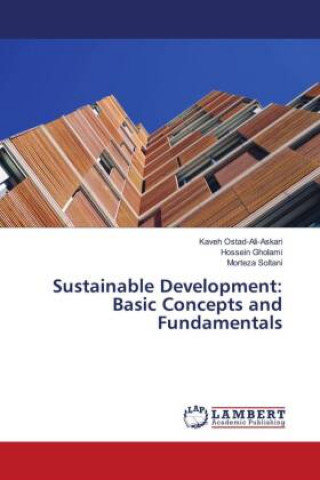 Knjiga Sustainable Development: Basic Concepts and Fundamentals Hossein Gholami