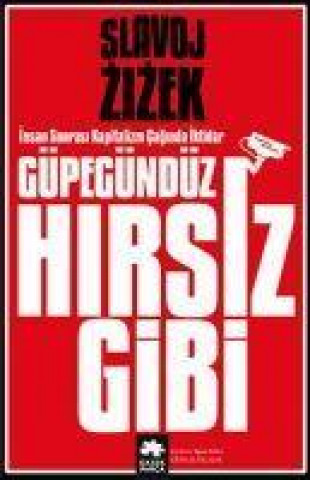 Buch Güpegündüz Hirsiz Gibi 