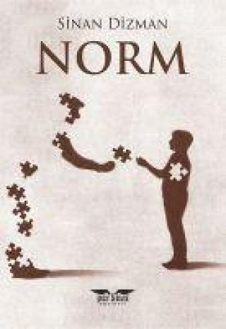 Knjiga Norm 