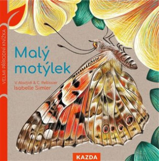 Könyv Malý motýlek Isabelle Simler