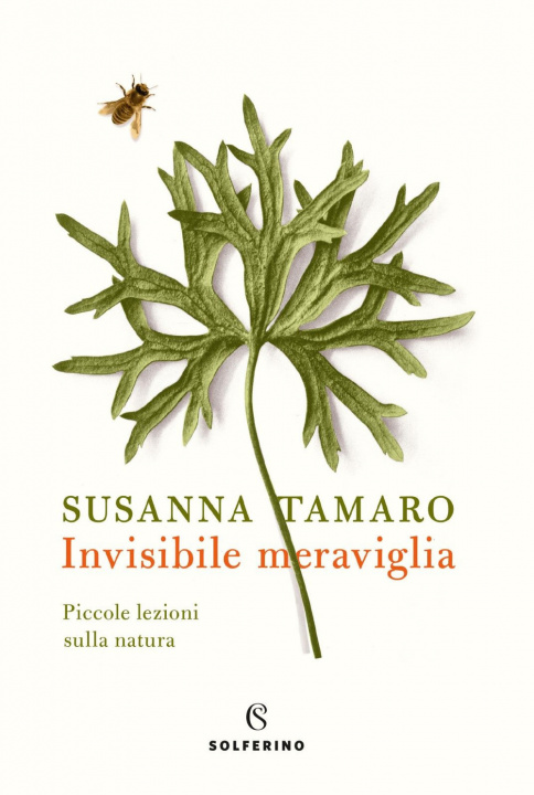 Könyv Invisibile meraviglia. Piccole lezioni sulla natura Susanna Tamaro