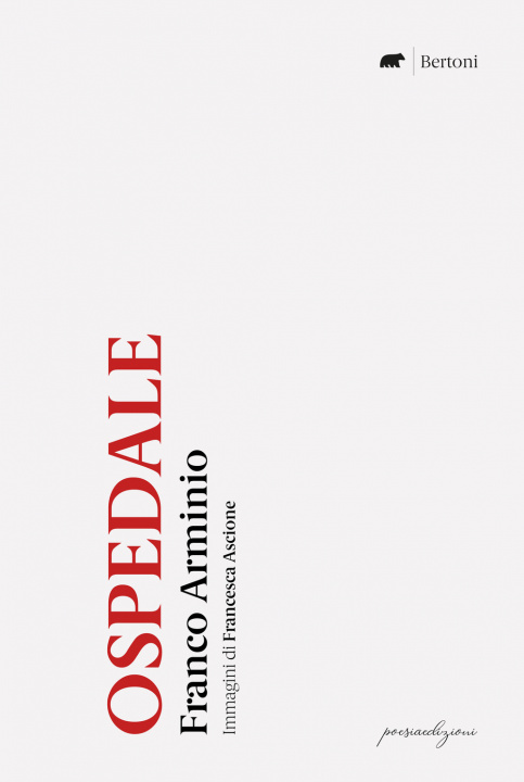 Libro Ospedale Franco Arminio