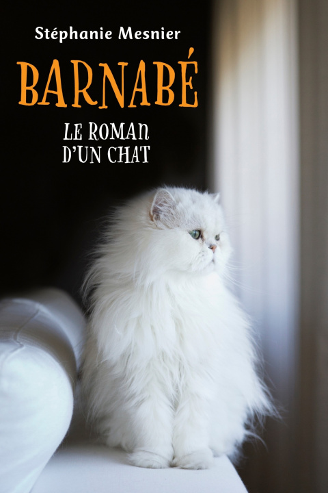 Knjiga Barnabé Stéphanie Mesnier