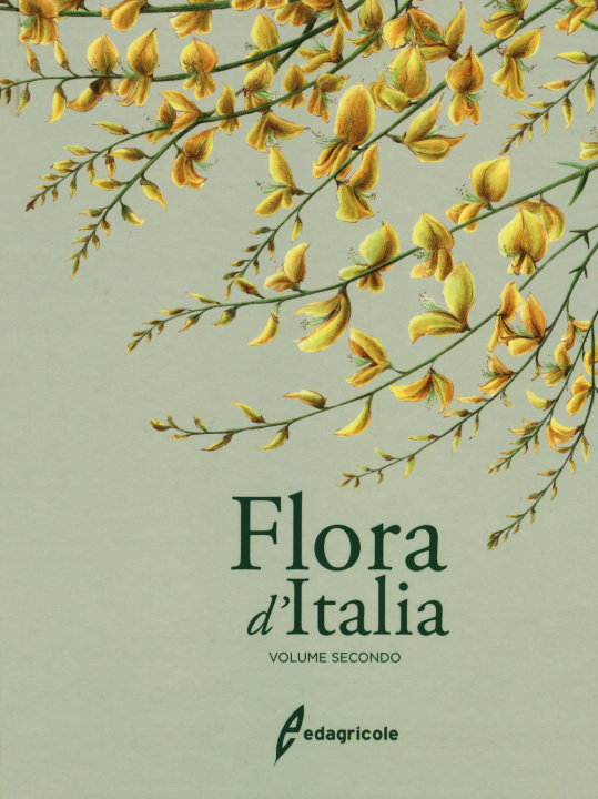 Kniha Flora d'Italia Sandro Pignatti