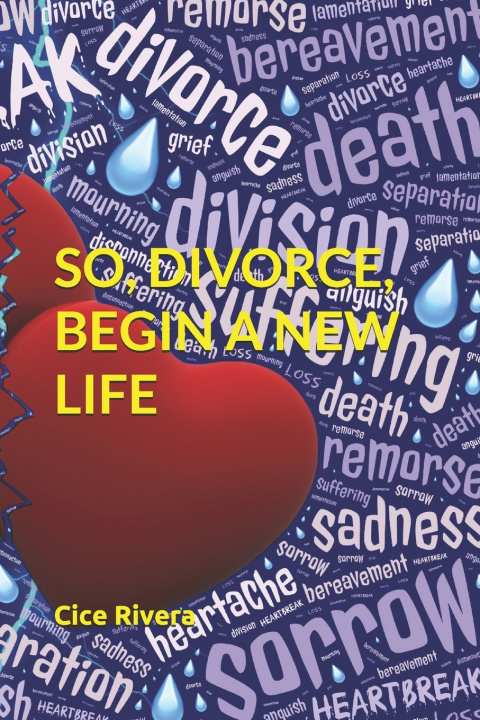 Book So, Divorce, Begin a New Life Cice Rivera