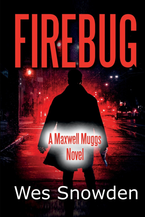Knjiga Firebug Wes Snowden