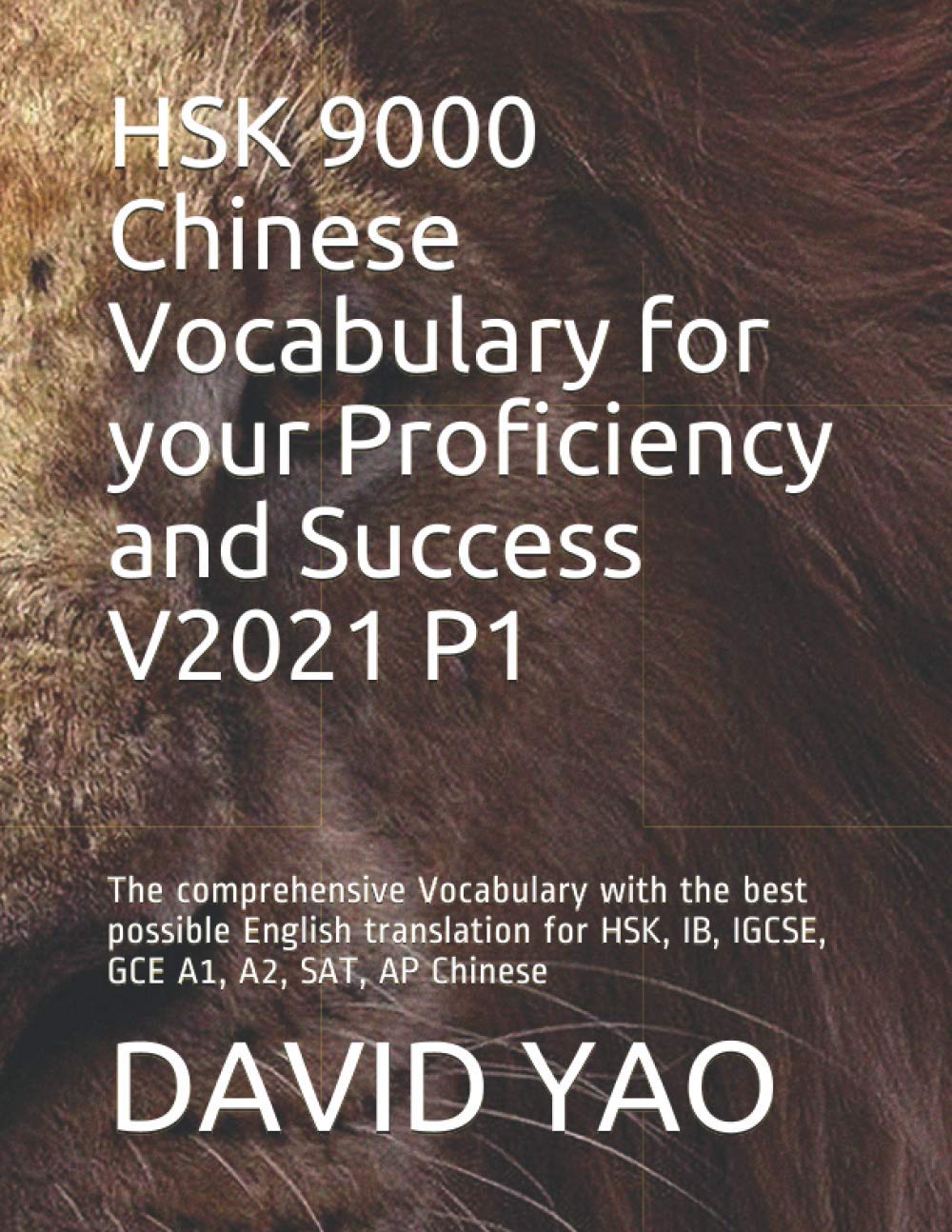 Książka HSK 9000 Chinese Vocabulary for your Proficiency and Success V2021 P1 David Yao