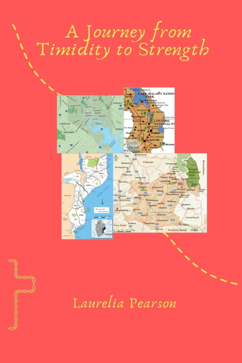 Knjiga Journey from Timidity to Strength Sandra Johnston