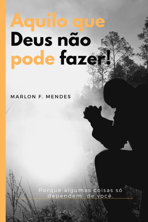 Buch Aquilo que Deus nao pode fazer Marlon de Freitas Mendes