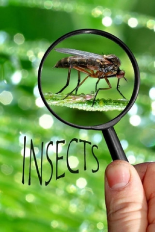 Knjiga Insects Linda Booysen