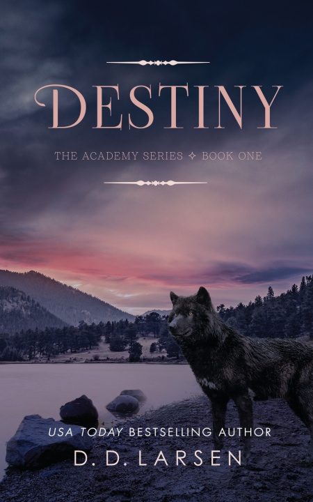 Buch Destiny D. D. Larsen