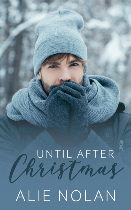 Knjiga Until After Christmas Ann Attwood