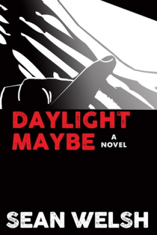 Boek Daylight Maybe Sean Welsh