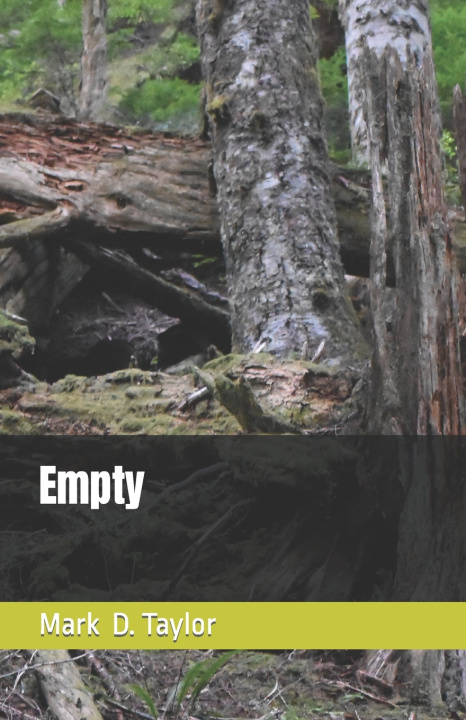 Kniha Empty Mark Taylor