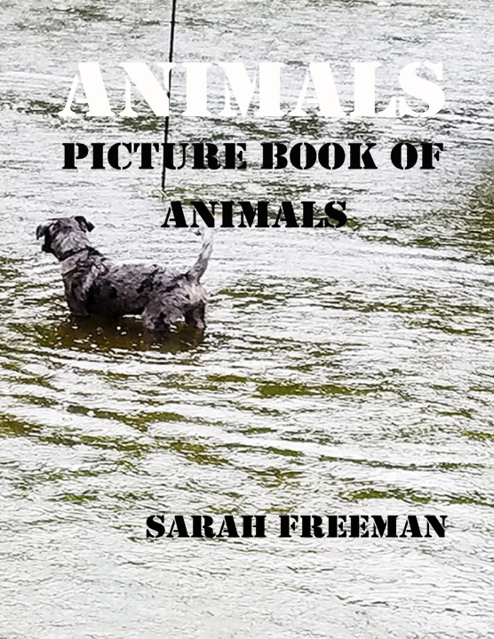 Knjiga Animals Sarah Freeman
