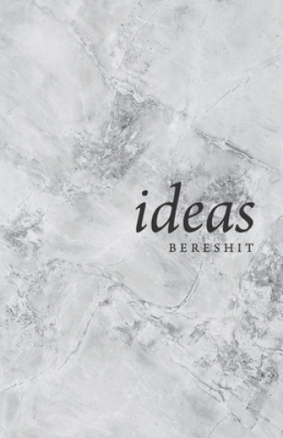 Książka Ideas: Bereshit Sina Kahen