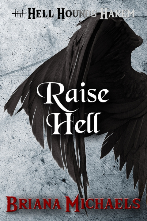 Knjiga Raise Hell Briana Michaels