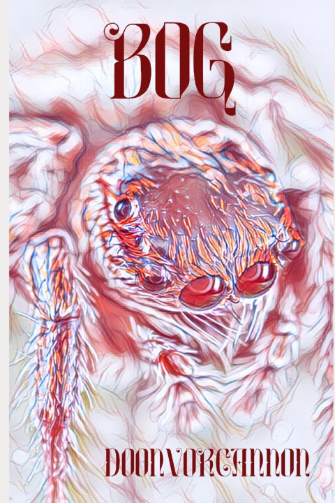 Knjiga Bog Doonvorcannon
