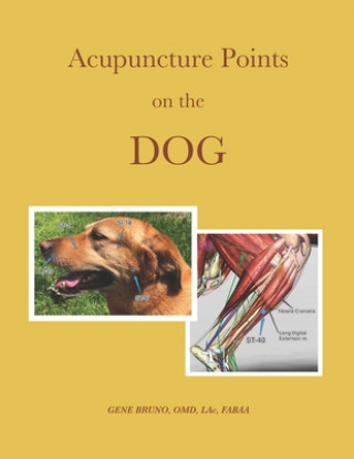 Книга Acupuncture Points on the Dog Gene C. Bruno