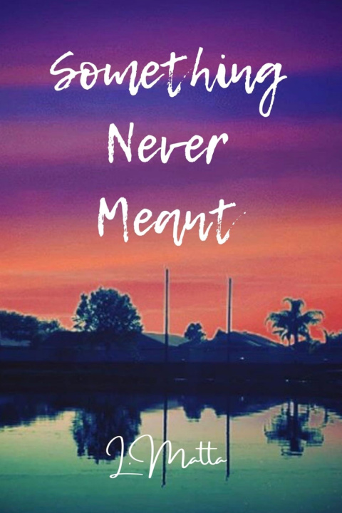Knjiga Something Never Meant Linnette Matta