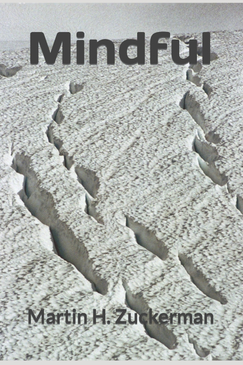 Livro Mindful Martin H. Zuckerman