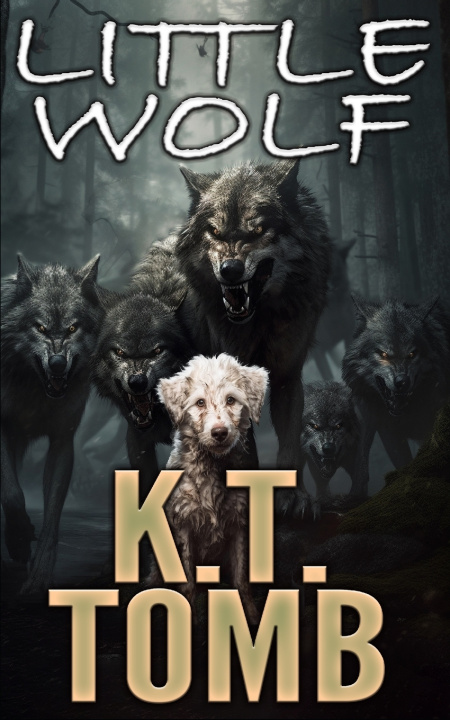 Knjiga Little Wolf J. R. Rain