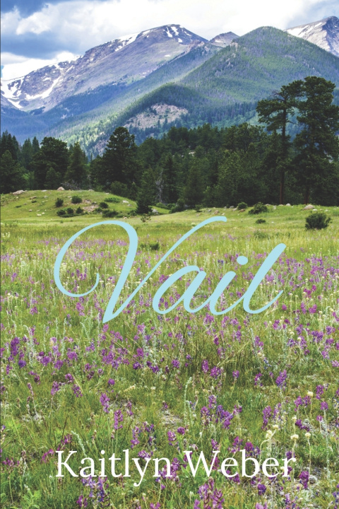 Knjiga Vail Kaitlyn Weber