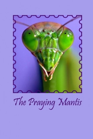 Buch Praying Mantis Linda Booysen